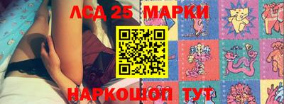 скорость Кингисепп