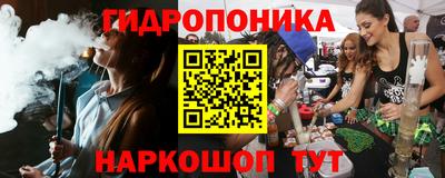 скорость Кингисепп