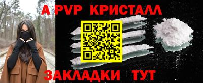 скорость Кингисепп