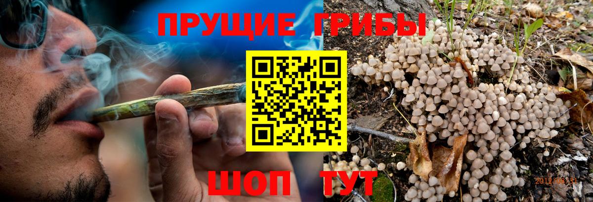 Галлюциногенные грибы MAGIC MUSHROOMS Клин