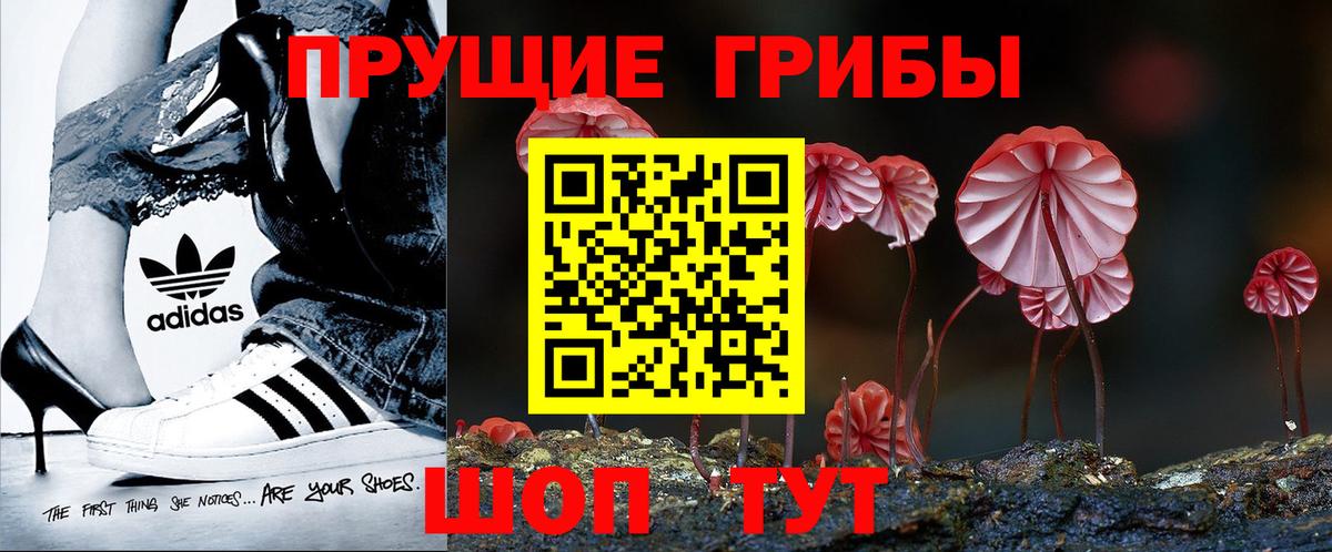 Псилоцибиновые грибы прущие грибы  дарнет шоп  Клин  Вход с VPN 